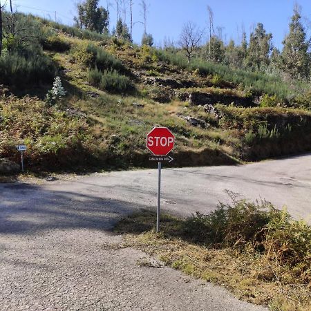 Villa Casa Da Boa Vista Em Viadal Vale de Cambra Esterno foto