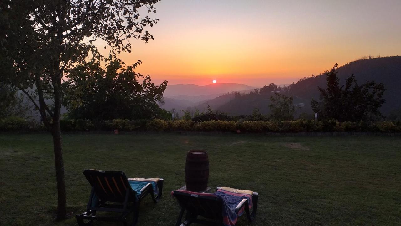 Villa Casa Da Boa Vista Em Viadal Vale de Cambra Esterno foto
