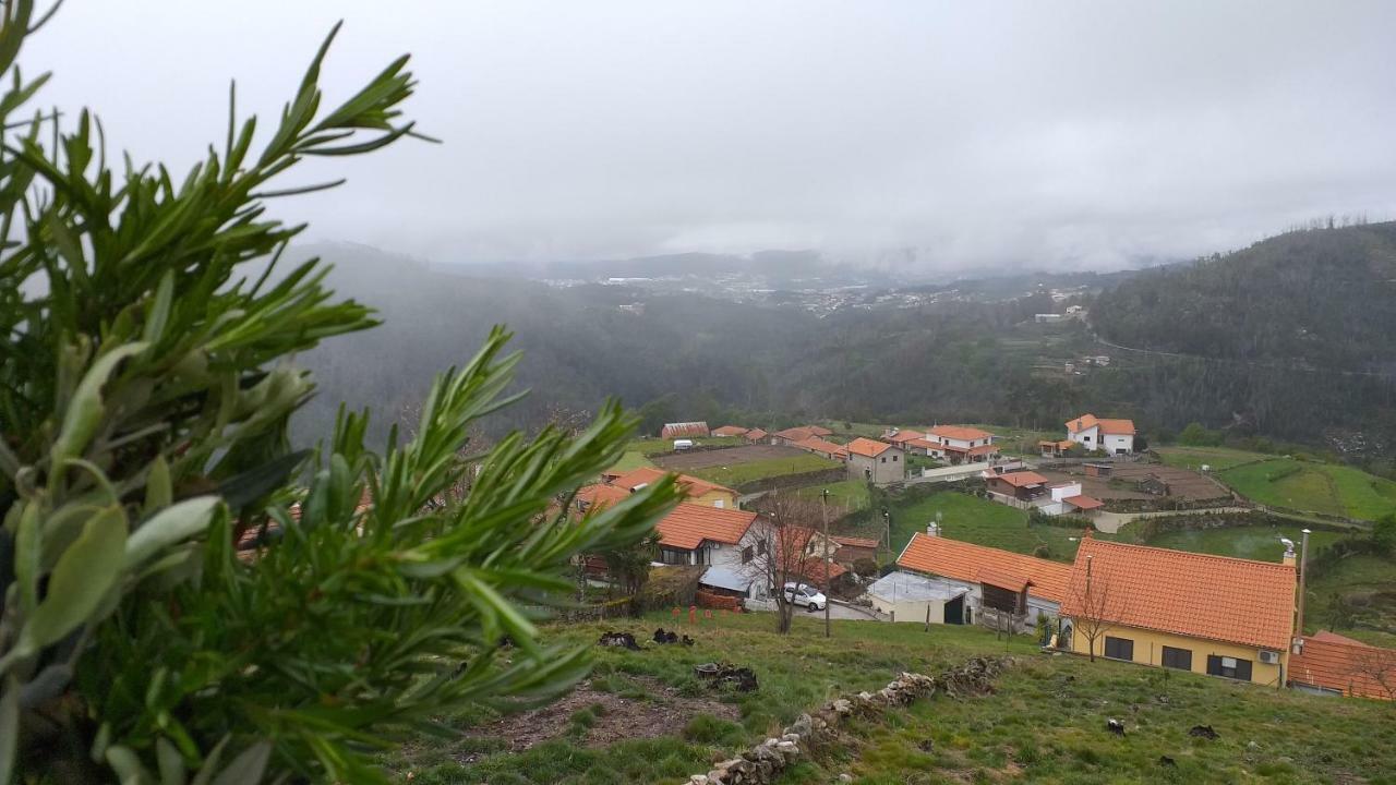 Villa Casa Da Boa Vista Em Viadal Vale de Cambra Esterno foto