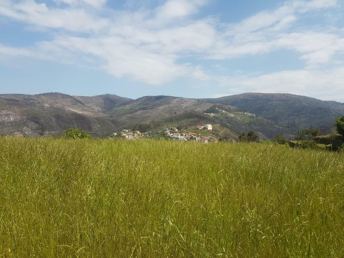 Villa Casa Da Boa Vista Em Viadal Vale de Cambra Esterno foto