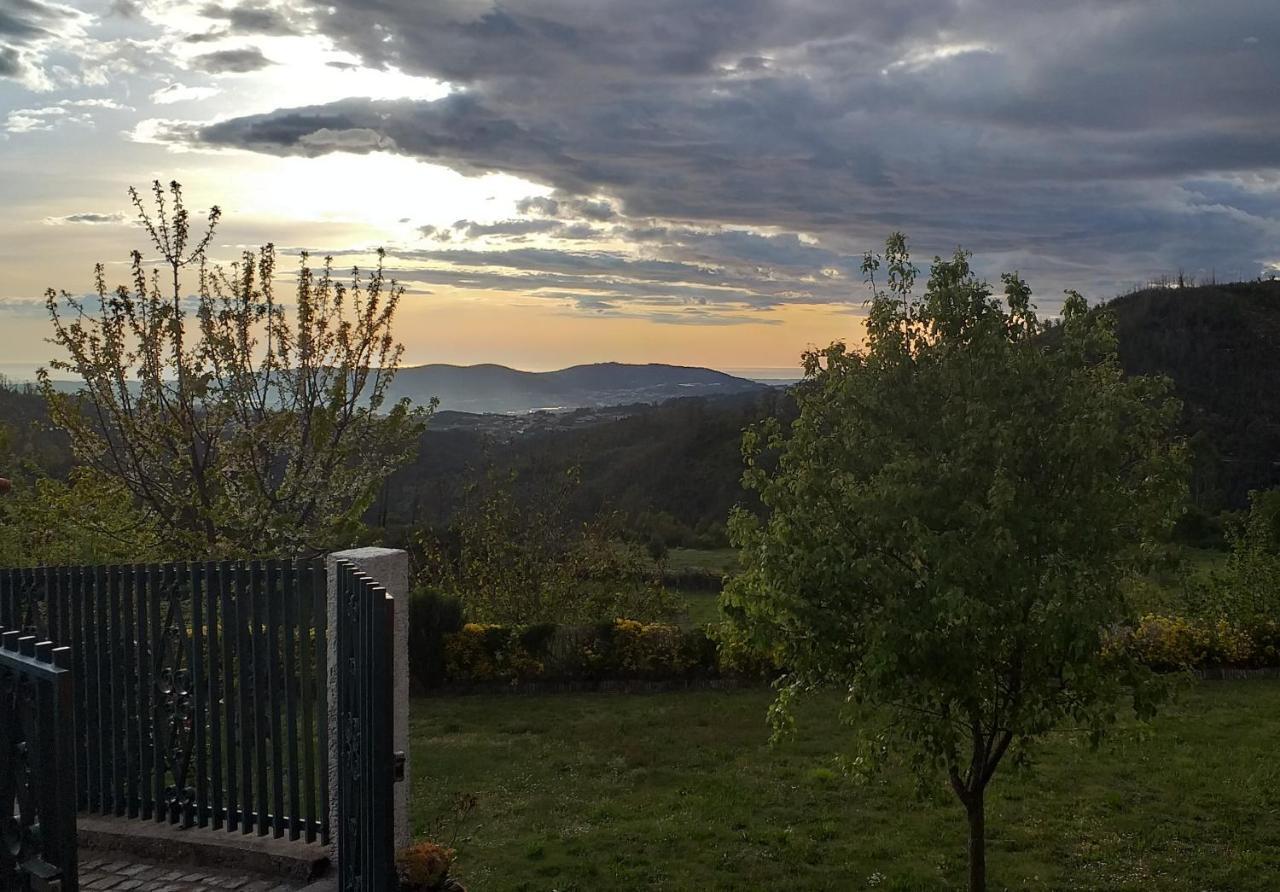 Villa Casa Da Boa Vista Em Viadal Vale de Cambra Esterno foto